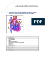 Actividad #1 - Sistema Cardiovascular