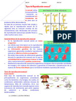 1anexo - Exp - 06 - 2act - Ciencia - y - Tecnología - 2° IMPRIMIR