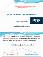 PRINCIPIOS DPP ICJ spf  ppt en pdf ii
