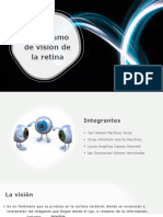 Mecanismo de Visión de La Retina