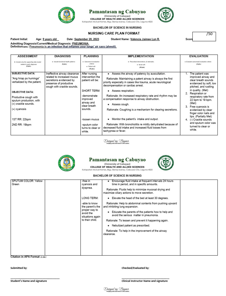 Nursing Care Plan | PDF
