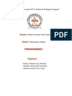 Proyecto Integrador Etimologias