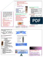 Leaflet Diabetes & Napza