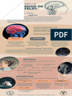 Infografia Sistema Nervioso Anatomico Azul Beige