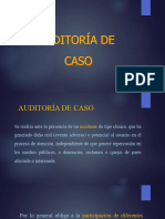 4 - Auditoria de Caso Estructura Del Informe