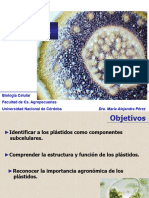 Teorico 7 Plastidos Orgánulos Conversión Energética