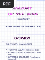 Download Anatomy of the Spine and Some Common Pathologies by Leizeriuc Cristian SN67475127 doc pdf