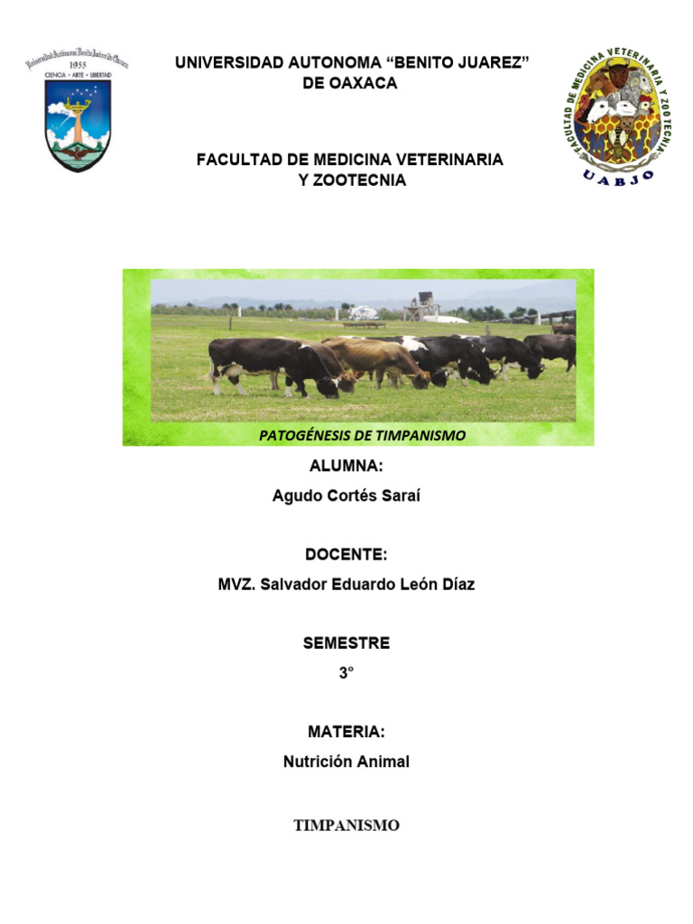 Patogenesis. Timpanismo PDF