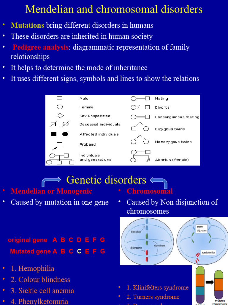 Disorders PDF