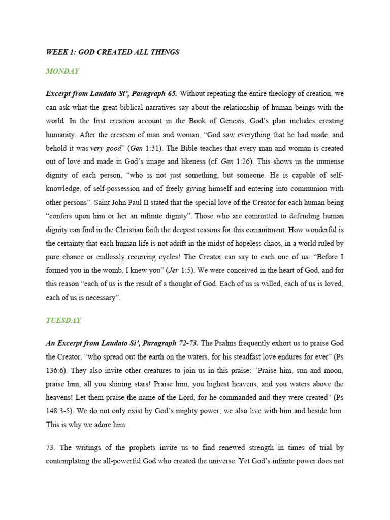 Excerpts From Laudato Si | PDF
