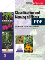 Plant Classification and Naming