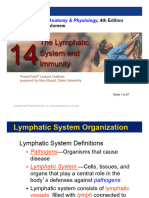 Lymphatic Cells