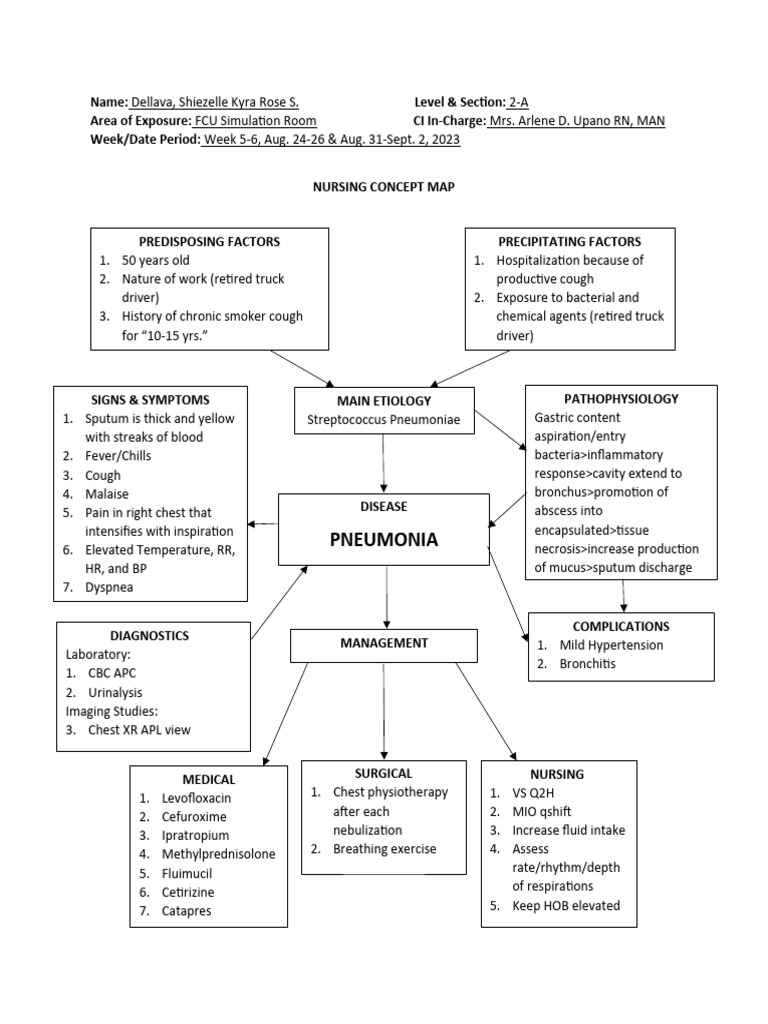 Pneumonia Concept Map  Download Free PDF  Pneumonia  Cough
