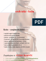 Povrch Tela - Koža