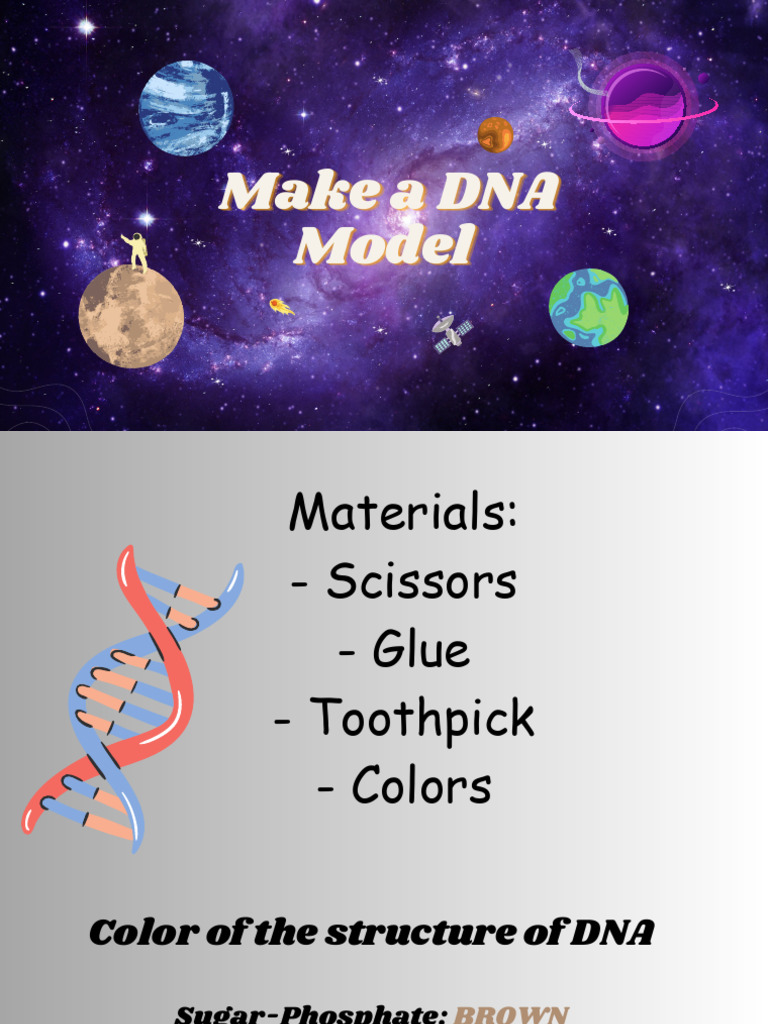 DIY DNA Model for Kids | PDF