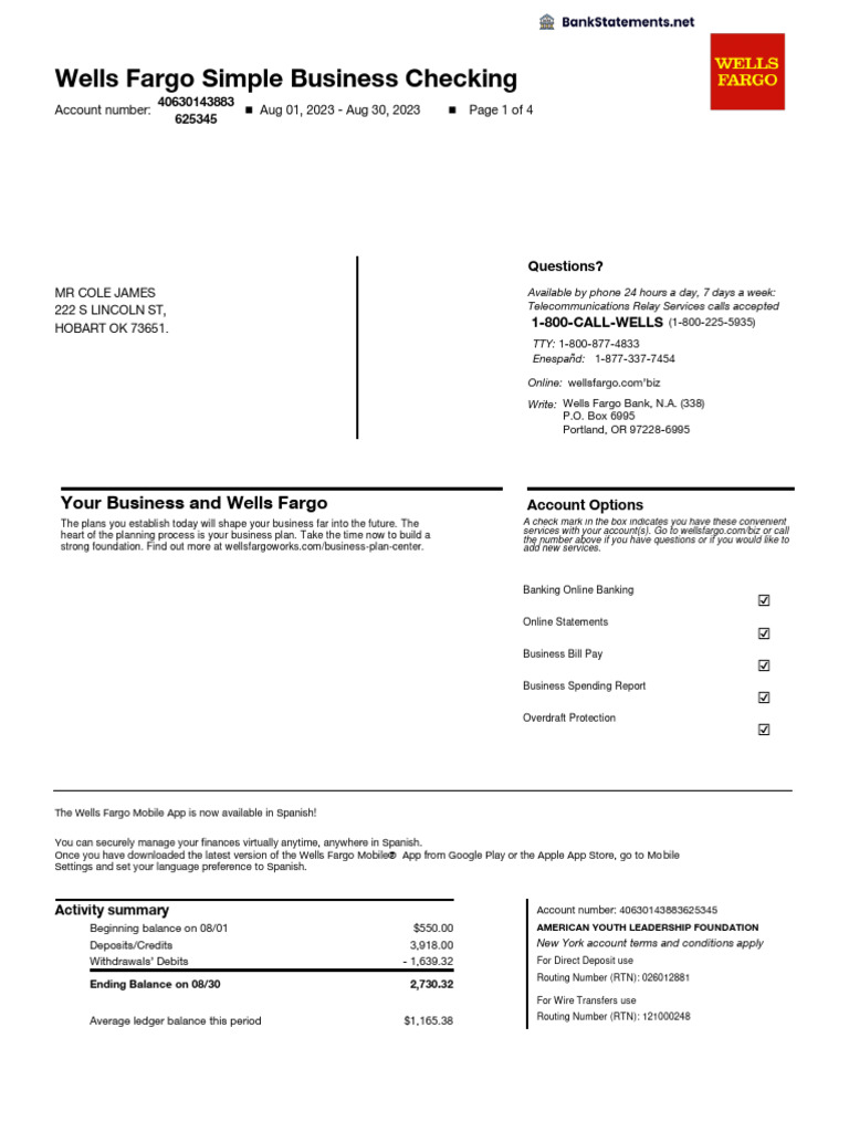 James Cole PDF Overdraft Credit Card
