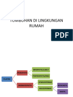 Tumbuhan Di Lingkungan Rumah