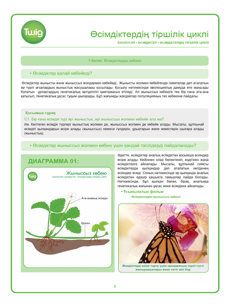 Эротикалық бейнені қараңыз