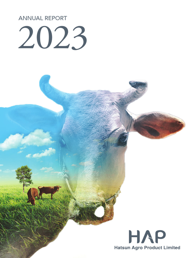 Annual Report 2023 | PDF