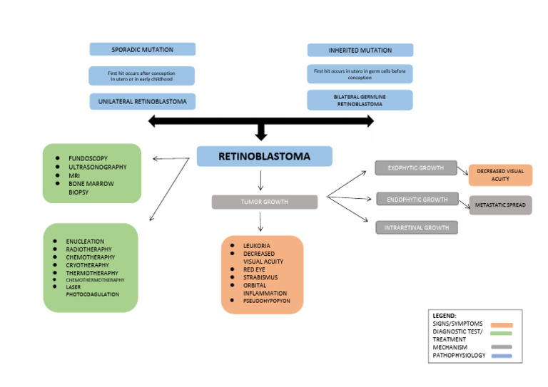 Pathophysiology Retinoblastoma | PDF