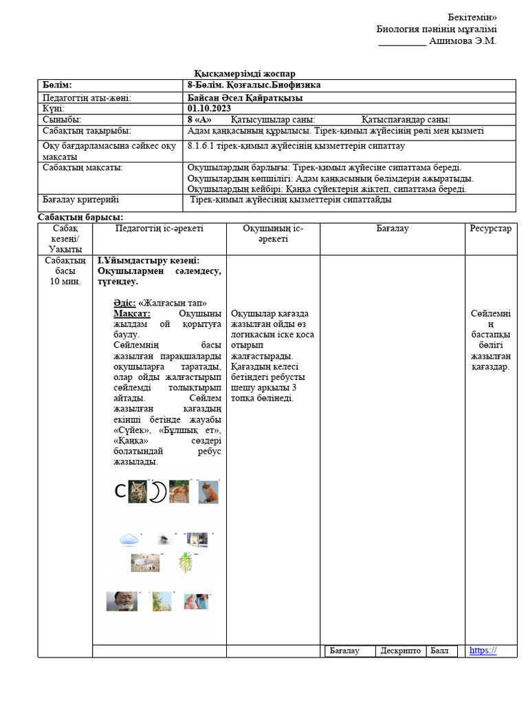 Жапондық порно мультфильмдер