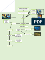 Mapa Conceptual de La Ecologia