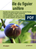 La Taille Du Figuier Unifère