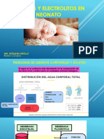 LIQUIDO Y ELECTROLITO EN NEONATO DR Castillo 2022 LCRG