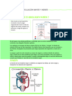 CIRCULACION MAYOR Y MENOR Resumen