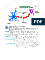 Bio Abitur - Neurologie Und Hormonbiologie