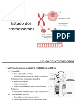 Estudo Dos Cromossomos3439