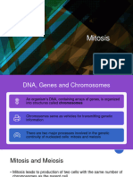 Mitosis (Cytogenetics)