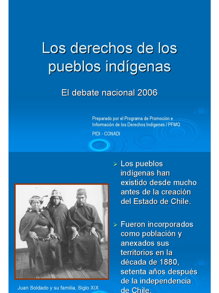 Derechos de los Pueblos Indígenas en Chile | PDF | Tratado ...