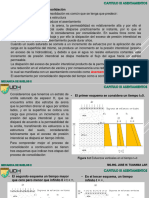 Semana 2