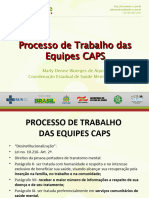 Apresentação - Webconferência sobre Processo de Trabalho das Equipes CAPS (3)