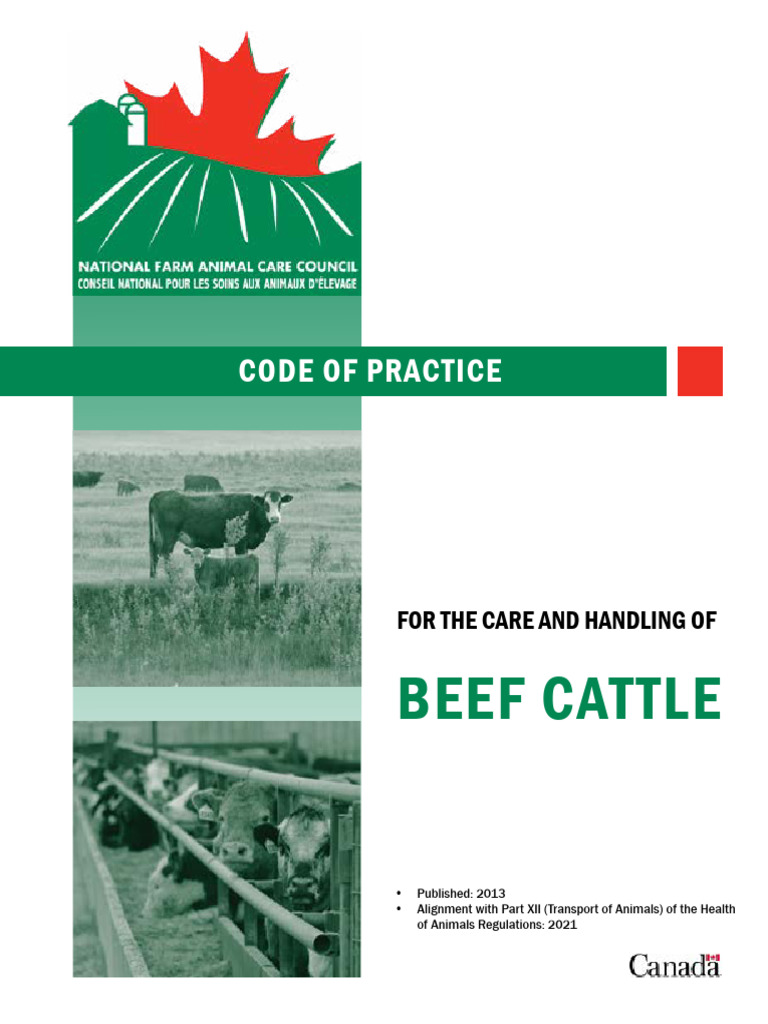 Beef Code of Practice PDF Cattle Animal Welfare