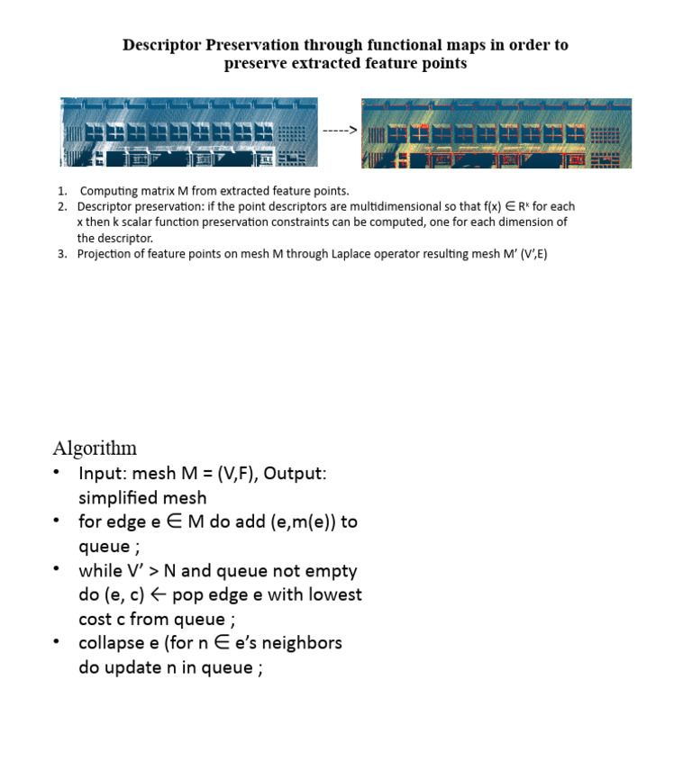 Functional Maps | PDF