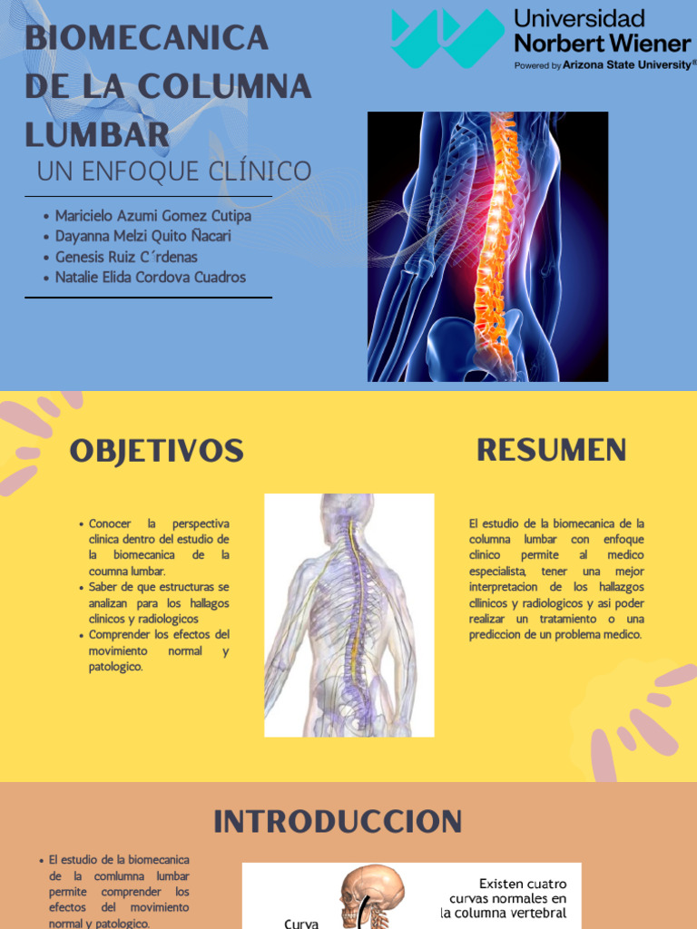Biomecánica de la Columna Lumbar Clínica | PDF | Sistema esquelético ...