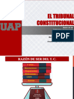 Tribunal Constitucional