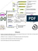 ADA 8 - Componentes Nucleares - Pech Ivan