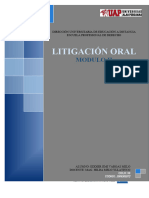 TRABAJO ACADEMICO - LITIGACIÓN ORAL