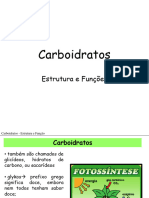  Carboidratos 