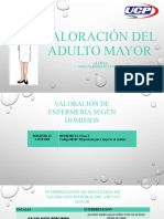 Valoración Del Adulto Mayor Sofia (4) - 1