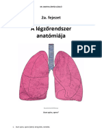 Anatomia Tulelokonyv - 2a. Fejezet - A Legzorendszer Anatomiaja - v20220609 Pjpgva