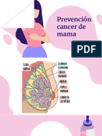 Semana 6 Ca de Mama