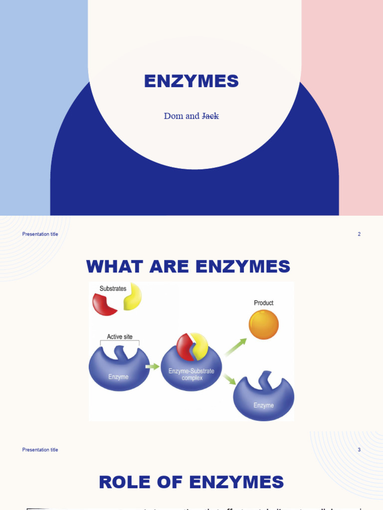 Enzymes PDF