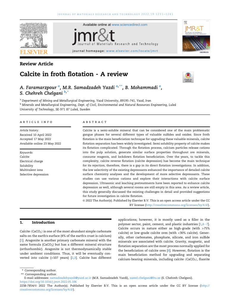 Calcite in Froth Flotation - A Review | PDF
