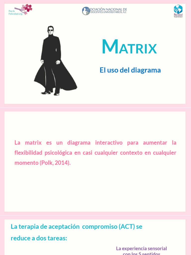 Matrix Guia Valores | PDF | Experiencia | Mente