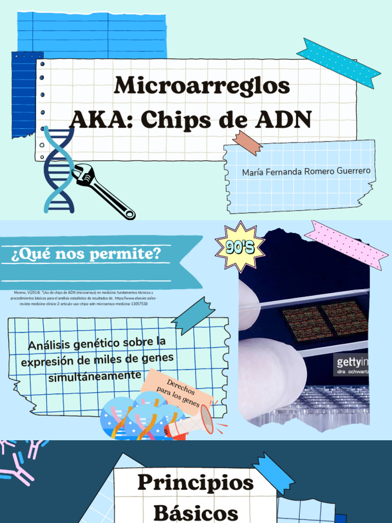 Aplicaciones de Microarreglos de ADN | PDF | Hibridación de ácido ...
