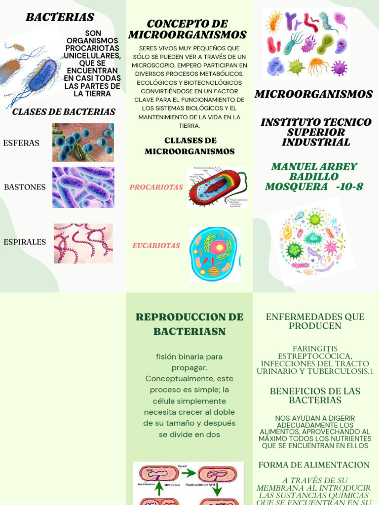Clases y beneficios de microorganismos | PDF | Microorganismo | Las ...
